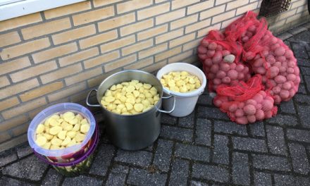 Achter de schermen 2017